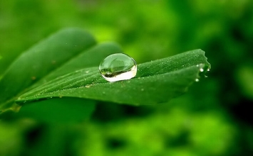 Đại sư thứ 2: Lilapa - Đức vua ẩn sĩ